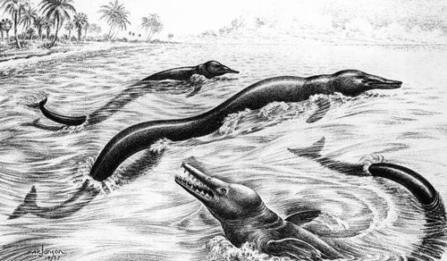 海の未確認生物uma シーサーペントの真実と正体に迫る ギベオン 宇宙 地球 動物の不思議と謎 海の未確認生物uma シーサーペントの真実と正体に迫る ギベオン 宇宙 地球 動物の不思議と謎