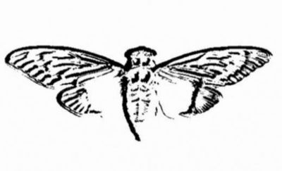 Cicada3301の謎