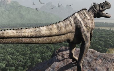 ケラトサウルス・ナシコルニス