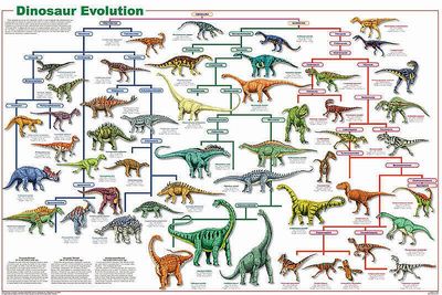 恐竜の種類