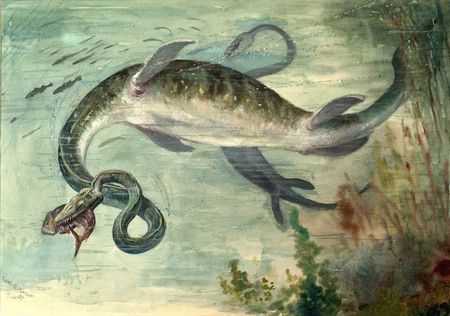 首長竜は恐竜じゃない 太古の海最強の捕食者に想いを馳せる ギベオン 宇宙 地球 動物の不思議と謎 首長竜は恐竜じゃない 太古の海最強の捕食者に想いを馳せる ギベオン 宇宙 地球 動物の不思議と謎