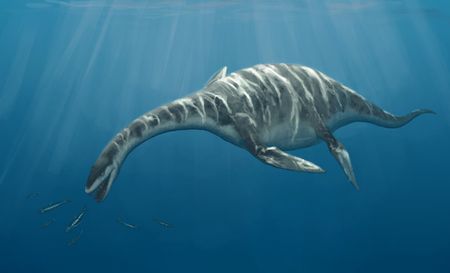 首長竜は恐竜じゃない 太古の海最強の捕食者に想いを馳せる ギベオン 宇宙 地球 動物の不思議と謎 首長竜は恐竜じゃない 太古の海最強の捕食者に想いを馳せる ギベオン 宇宙 地球 動物の不思議と謎