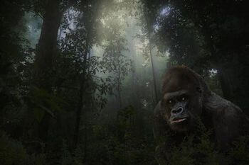 発見された未確認生物 Umaだった不思議な12の動物たち ギベオン 宇宙 地球 動物の不思議と謎