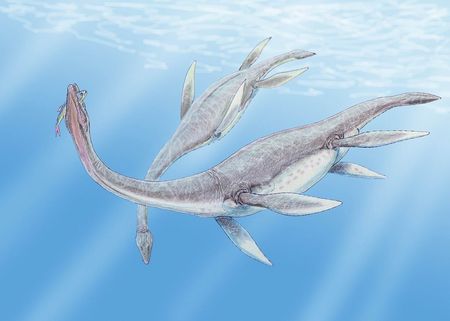 首長竜は恐竜じゃない 太古の海最強の捕食者に想いを馳せる ギベオン 宇宙 地球 動物の不思議と謎 首長竜は恐竜じゃない 太古の海最強の捕食者に想いを馳せる ギベオン 宇宙 地球 動物の不思議と謎