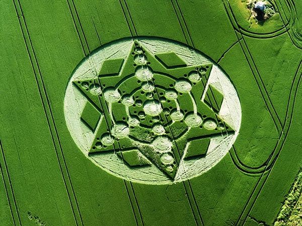 驚異のミステリーサークル その真実と残された謎に迫る ギベオン 宇宙 地球 動物の不思議と謎 驚異のミステリーサークル その真実と残された謎に迫る ギベオン 宇宙 地球 動物の不思議と謎