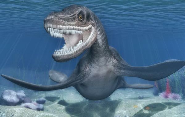 首長竜は恐竜じゃない 太古の海最強の捕食者に想いを馳せる ギベオン 宇宙 地球 動物の不思議と謎 首長竜は恐竜じゃない 太古の海最強の捕食者に想いを馳せる ギベオン 宇宙 地球 動物の不思議と謎