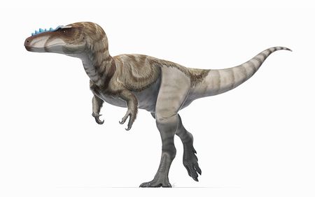 アレクトロサウルス