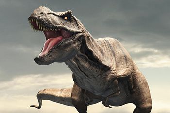 最新のティラノサウルス 恐竜王者の全てとその魅力に迫る ギベオン 宇宙 地球 動物の不思議と謎