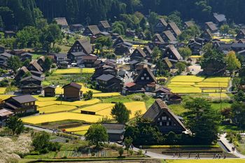 白川郷の合掌造り集落