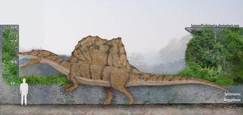 スピノサウルスの大きさは？