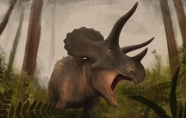 最新のトリケラトプス！消されそうになった大型草食恐竜の真実