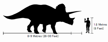 トリケラトプスの大きさは？