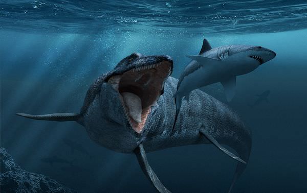 最強の海棲爬虫類モササウルス！その大きさや生態に迫る