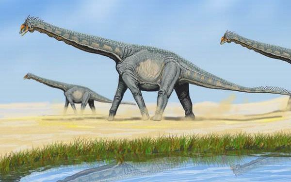 史上最大の恐竜ティタノサウルス類 巨大過ぎる陸上生物の生態 ギベオン 宇宙 地球 動物の不思議と謎
