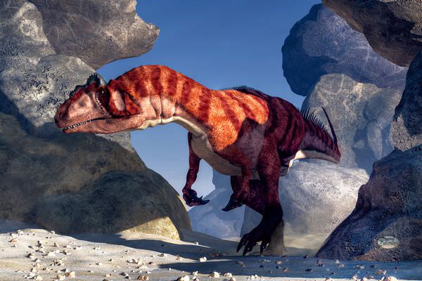ジュラ紀最強のアロサウルス！幻の名前やその身体能力に迫る