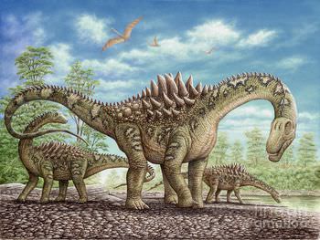 アンペロサウルス