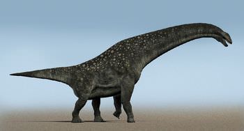 ティタノサウルスとは？