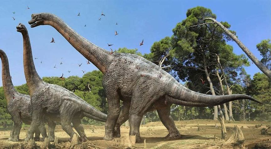 ジュラ紀の巨人ブラキオサウルス！その生態と水中活動説の真実