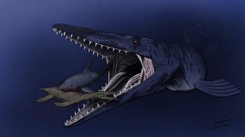 モササウルスの泳ぐ速さは？