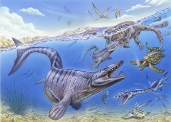 モササウルスは当時の海で最強だったのか？