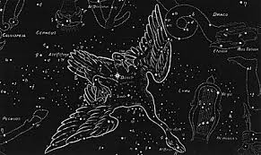 はくちょう座の一等星デネブ!巨大な恒星に隠された真実11 | ギベオン – 宇宙・地球・動物の不思議と謎