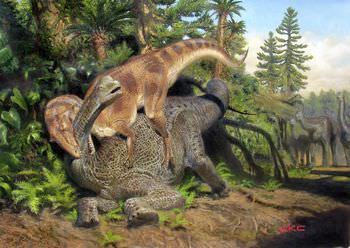 アロサウルスの歯と鉤爪