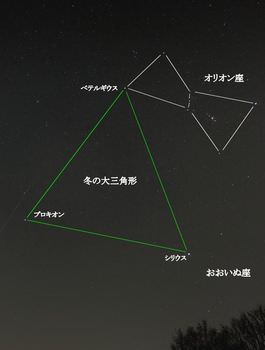 シリウスの観測方法