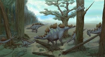 ステゴサウルス 群れ