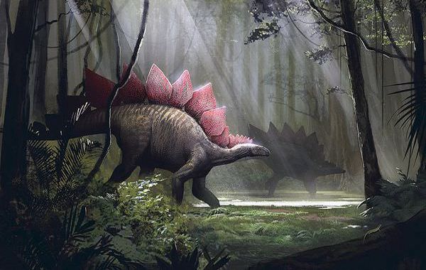 草食恐竜ステゴサウルス！ゴジラのモデルで脳が2個って本当？