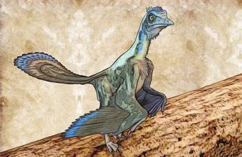 始祖鳥 恐竜