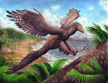 始祖鳥とは