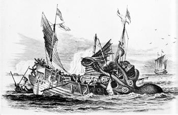 オンゴラ沖で目撃されたクラーケン