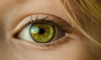 目の認識速度の違い説