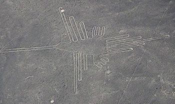 ナスカの地上絵の描き方と存在の意味は 不思議な古代絵の10の真実 ギベオン 宇宙 地球 動物の不思議と謎