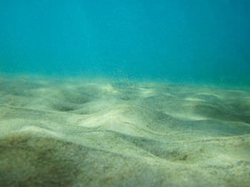 太平洋の海底堆積物