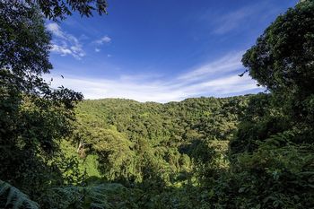 地球にはまだ未踏の地が存在する