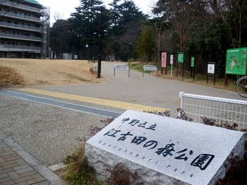 江古田の森公園