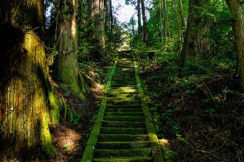 桜木神社